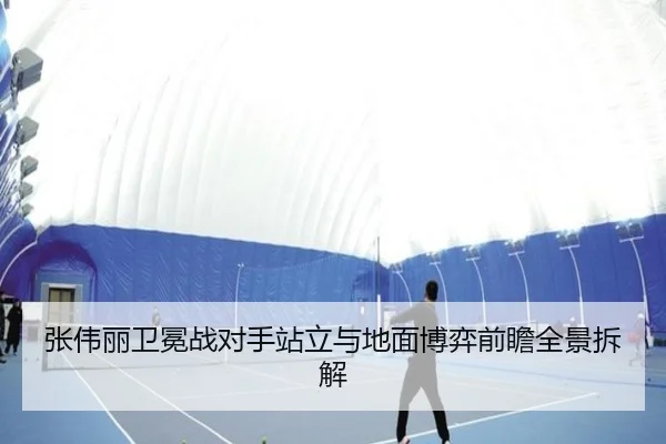 张伟丽卫冕战对手站立与地面博弈前瞻全景拆解 | leyu